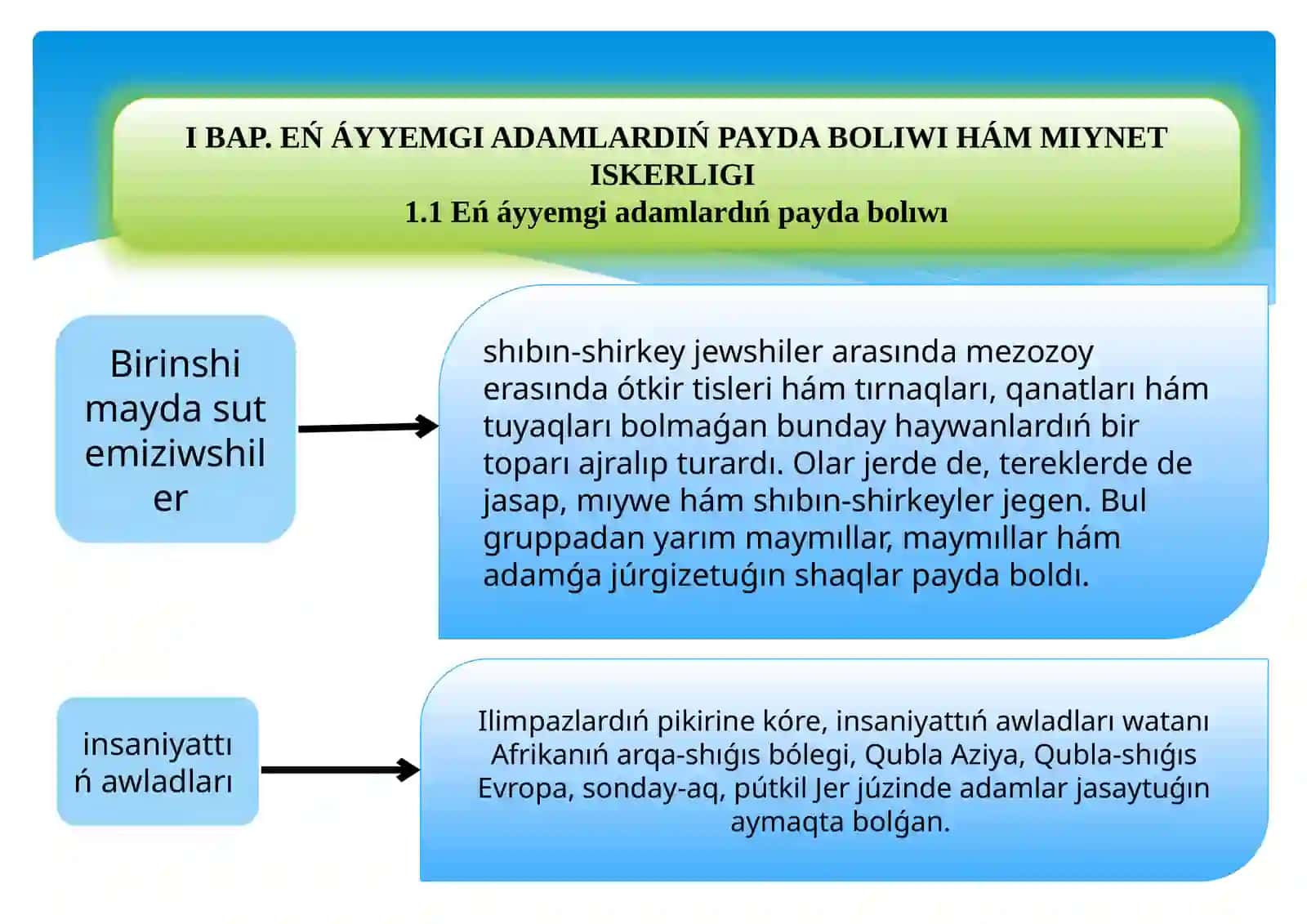 Homopaydabolıwı hám tarqaliwi 4