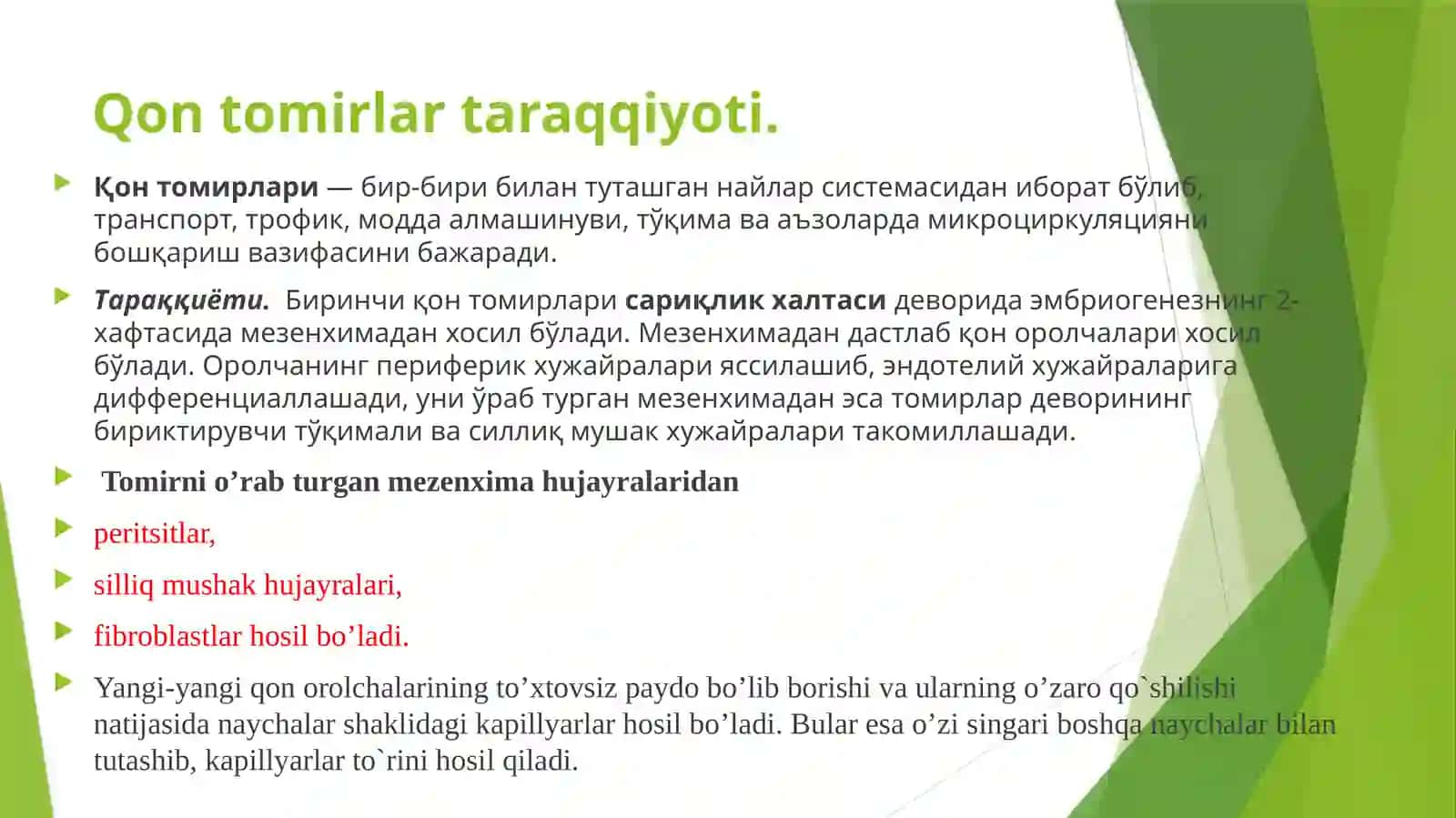Qon tomirlar 4