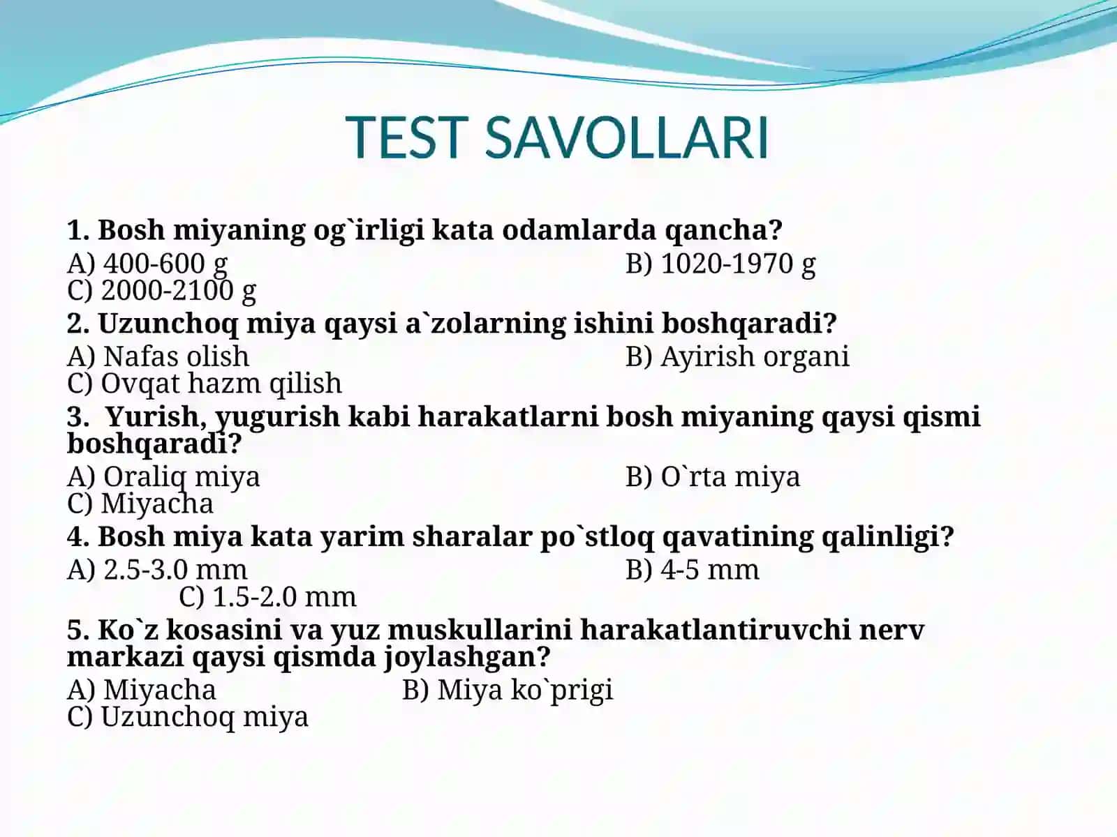 "Nerv   tizimining ahamiyati va tuzilishi" 4