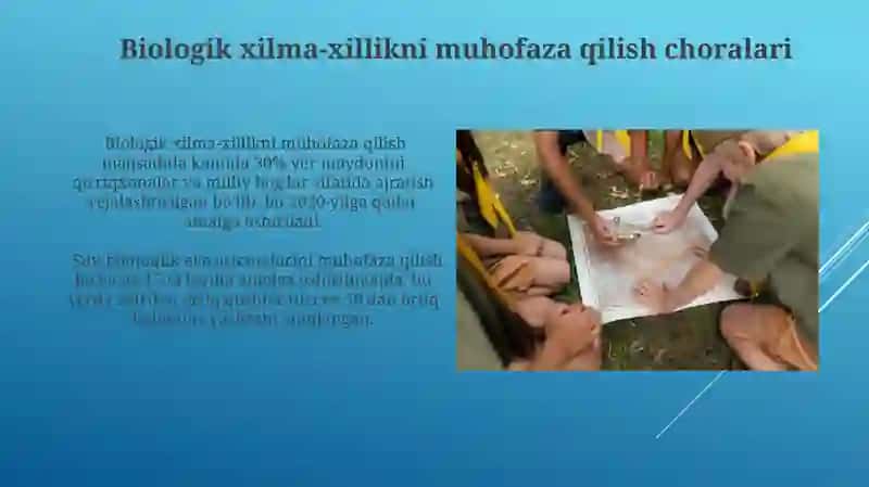 Qorapoqistondagi qoʻriqlanadigan tabiiy hududlarni rivojlantirish tartibi 4
