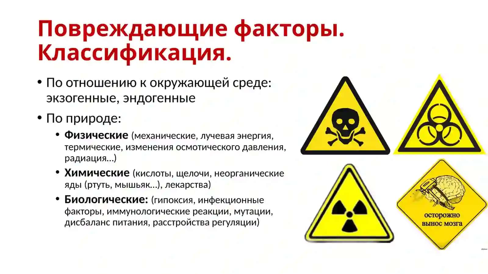 Повреждение. Некроз.Апоптоз 4