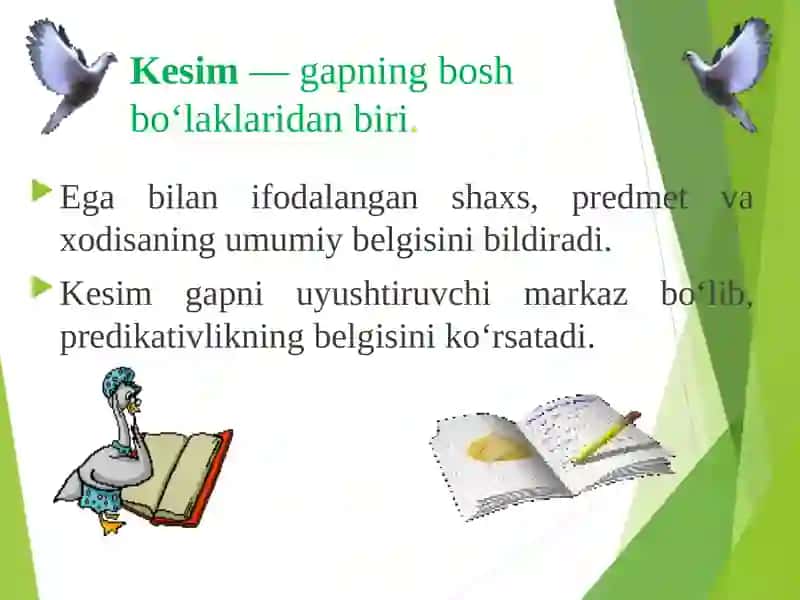 Kesim va uning ifodalanishi 4