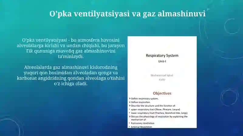 Nafas olish sistemasining fiziologiyasi 4