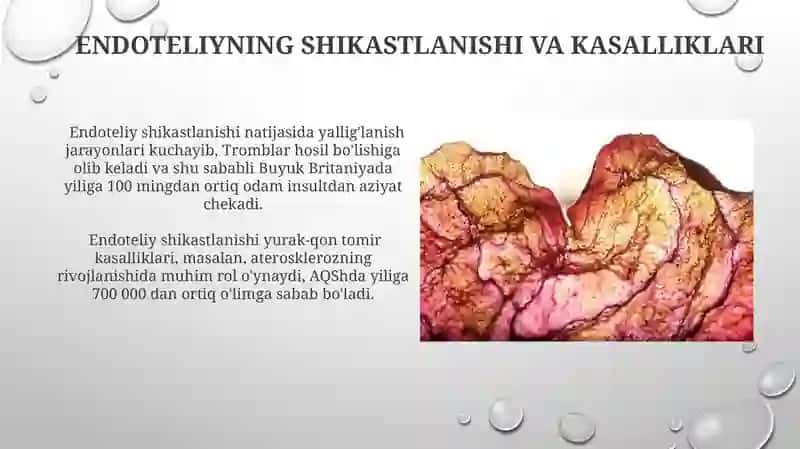 Qon tomir endoteliyasining funkysiyalari 4