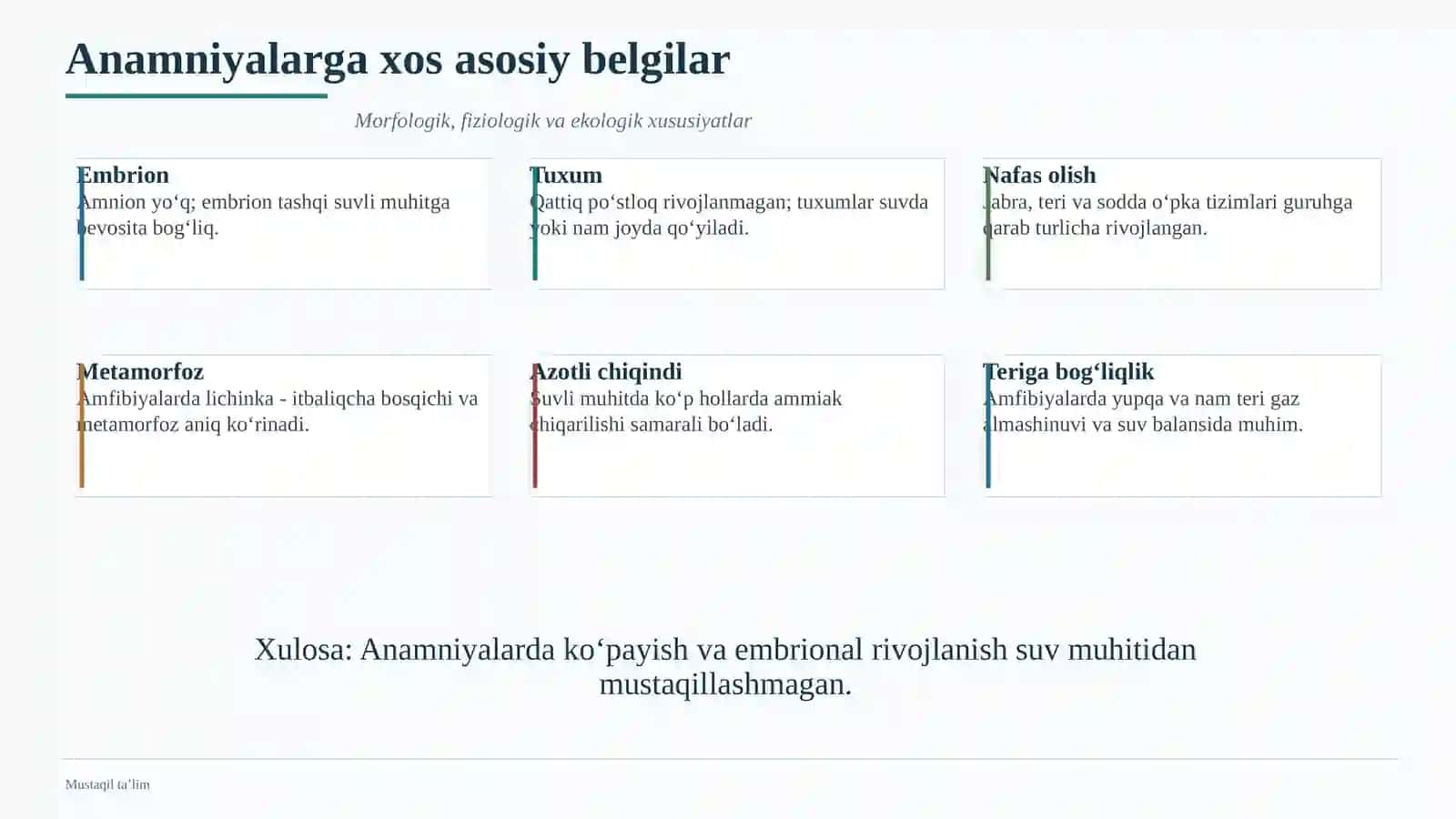 Umurtqalilarda embrional rivojlanish mezoni 4