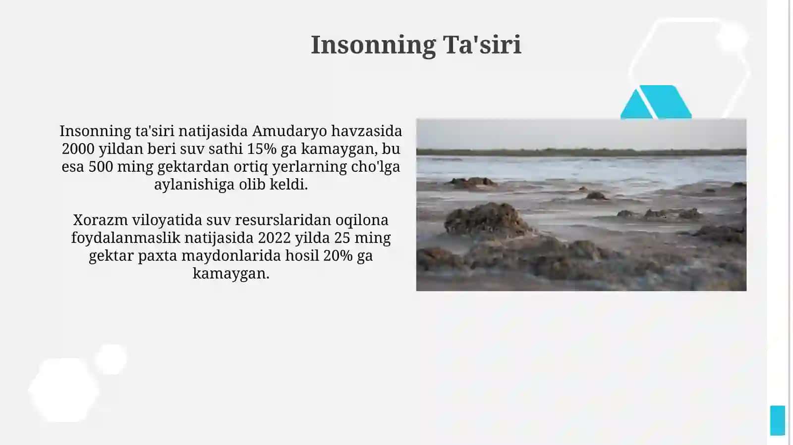 Daryoning loyqa oqiziqlari 4