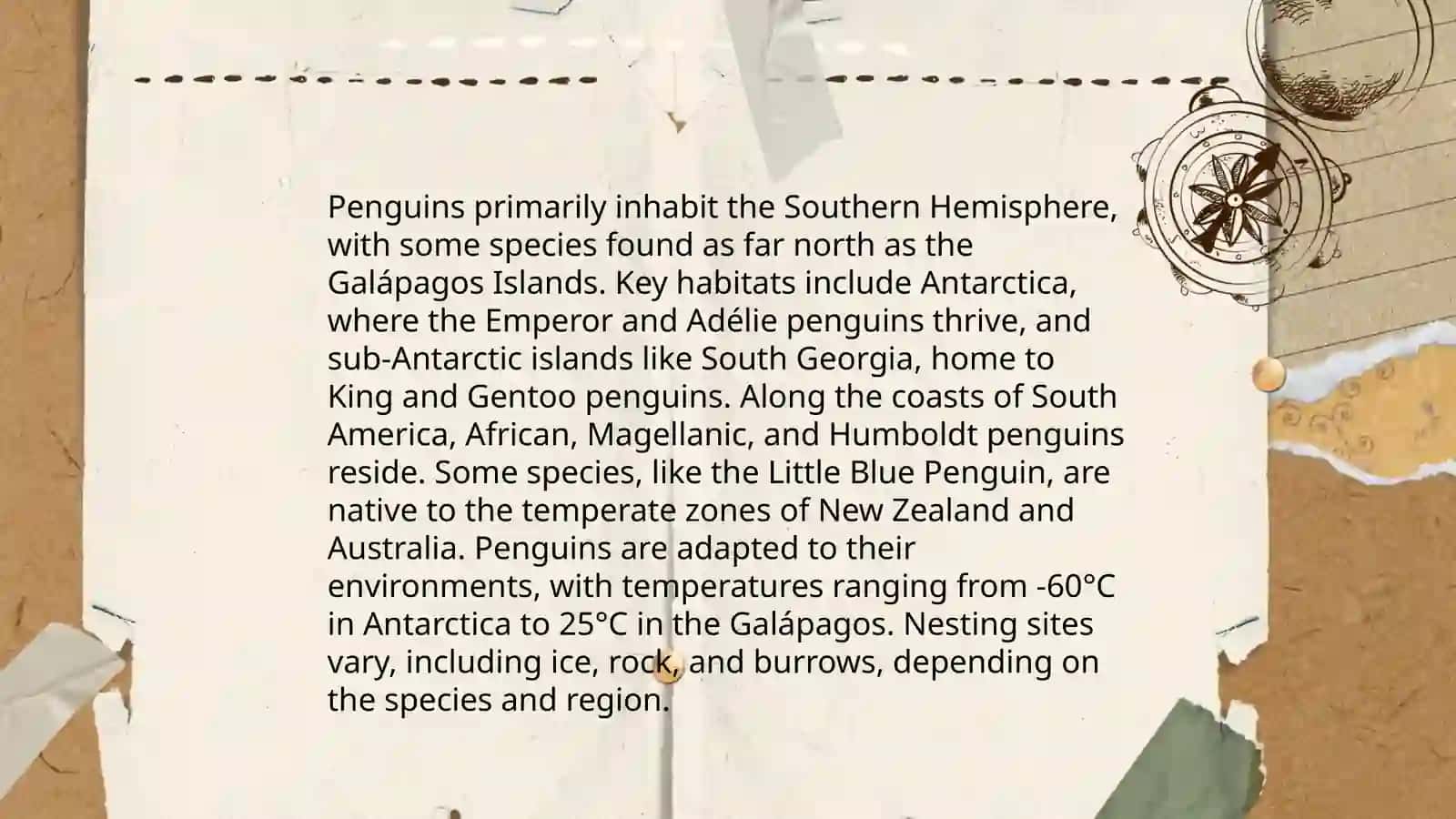 About Penguins 4