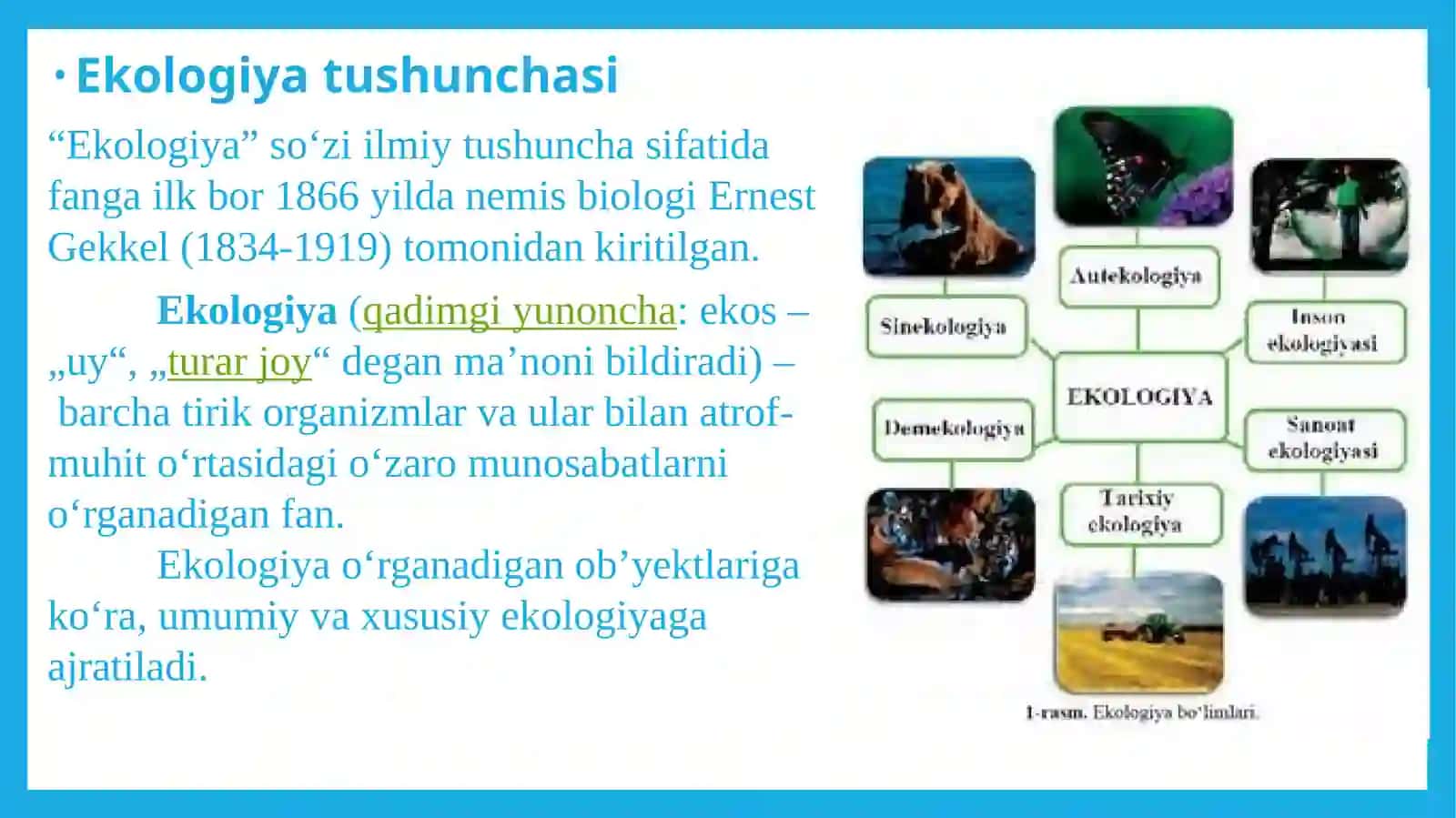 Atrof-muhit tushunchasi va ekologik tizimlar 4