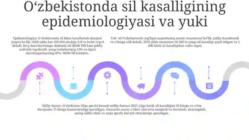 O'Zbekiston Respublikasida Tuberkulyozga Qarshi Kurashishning Miliy Dasturi 4