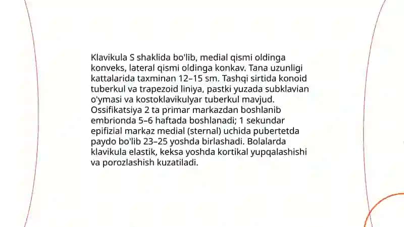 Yelka kamari va qo'l erkin qismi suyaklari: tuzilishi, yoshga doir xususiyatlari 4