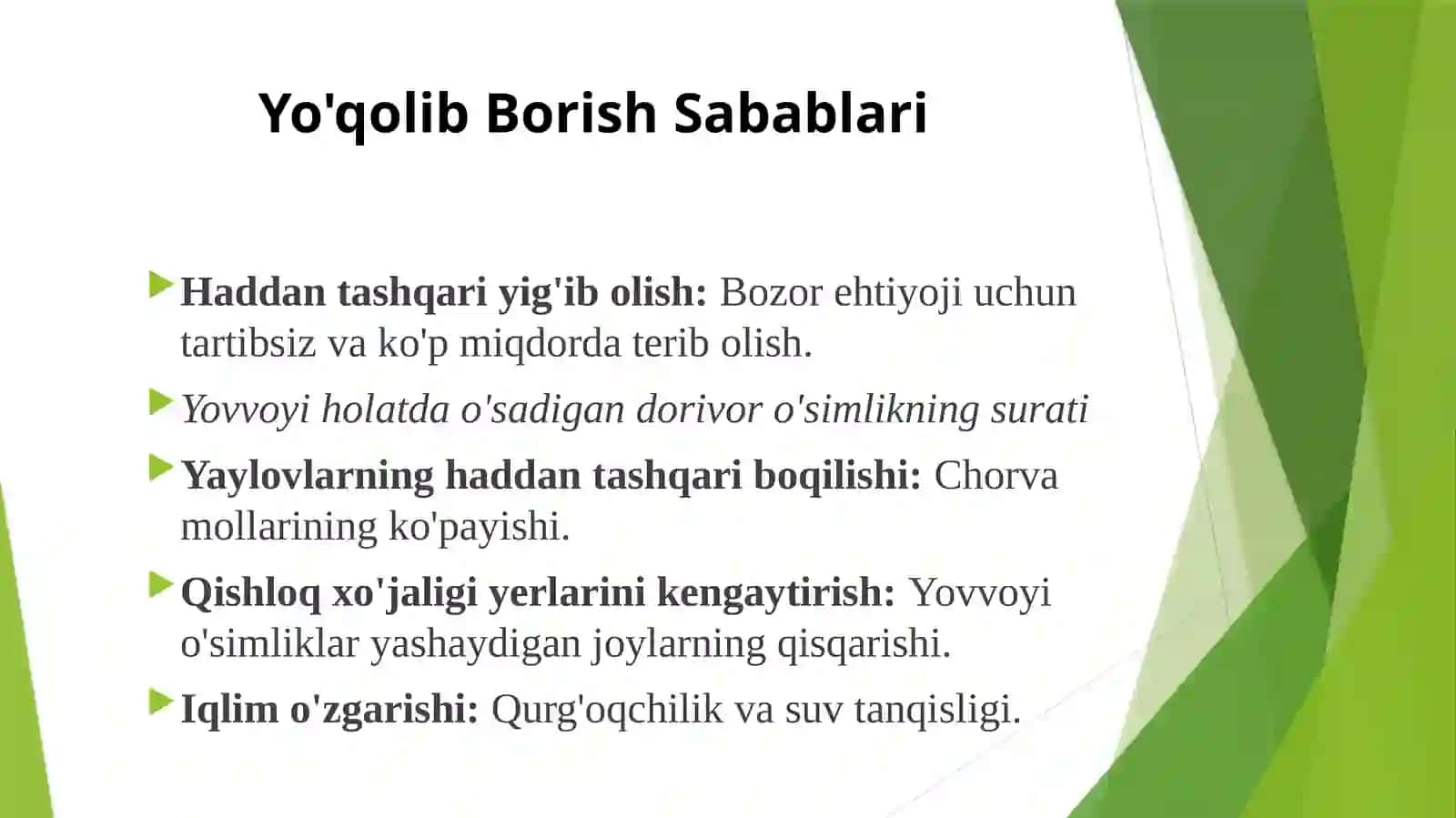 O`ZBEKISTON QIZIL KITOBIGA MANSUB NOYOB DORIVOR OSIMLIKLAR 4