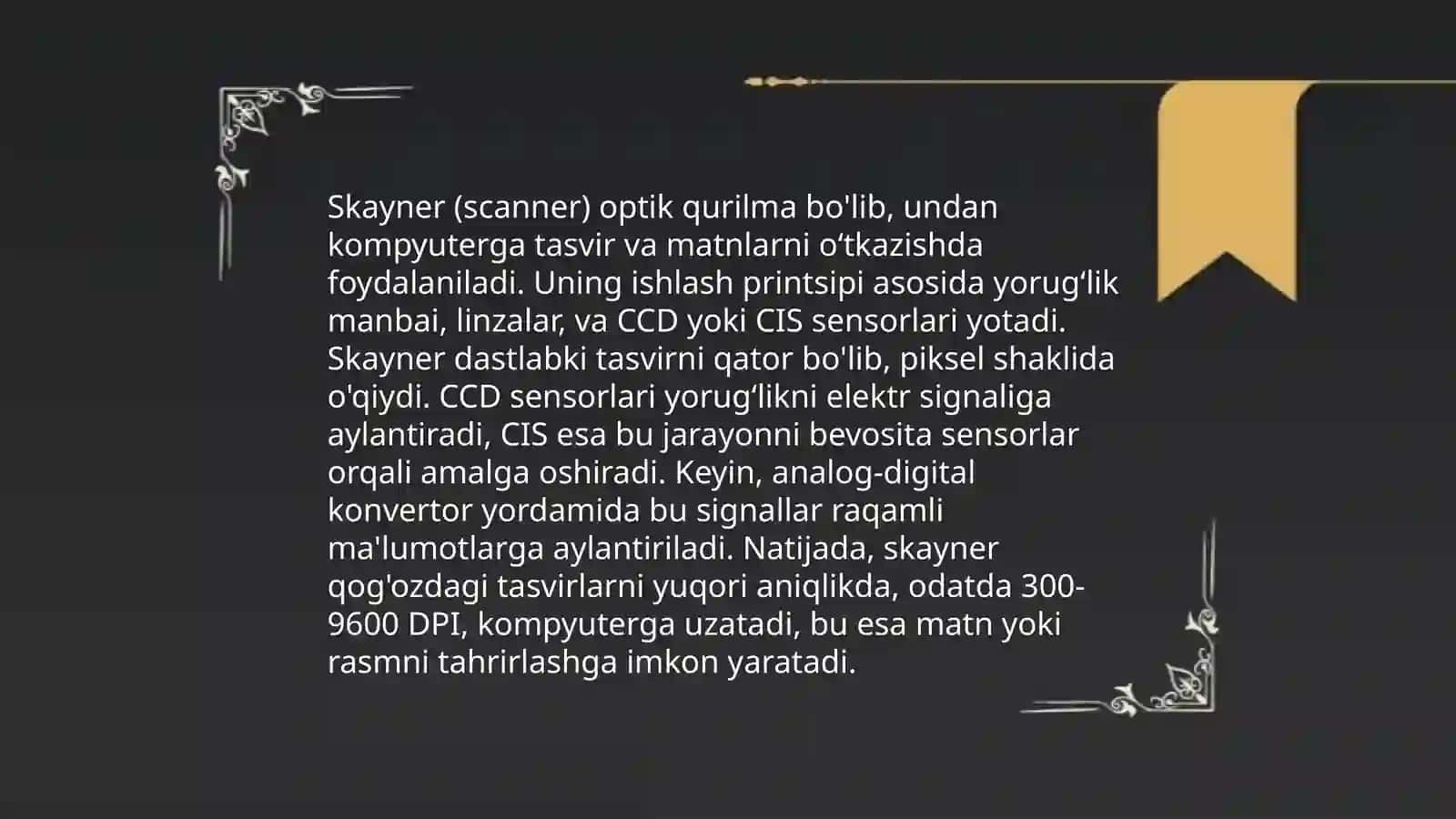 Skayner 4