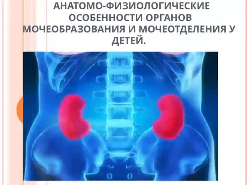 ПИЕЛОНЕФРИТ У ДЕТЕЙ 4