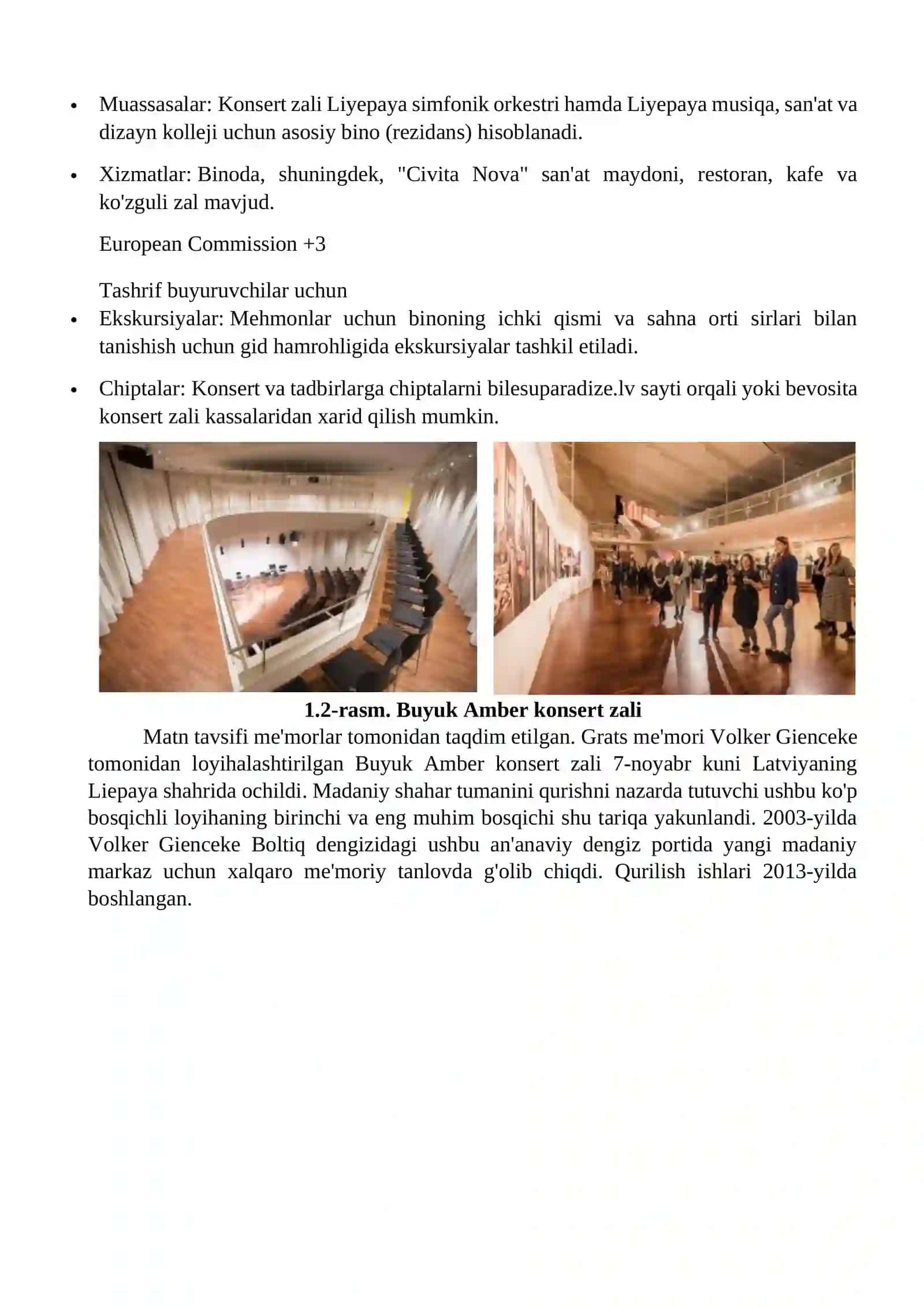 Buyuk Amber konsert zali 4