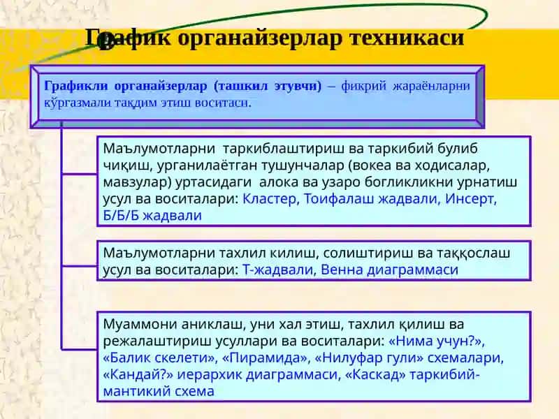 География дарсларида графикли органайзерлардан фойдаланиш 4