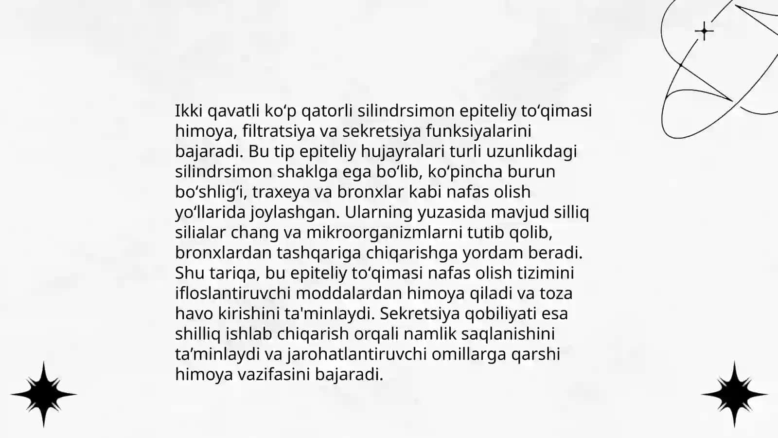 Bir qavatli koʻp qatorli silindrsimon kiprikli epiteliy anatomiyasi 4
