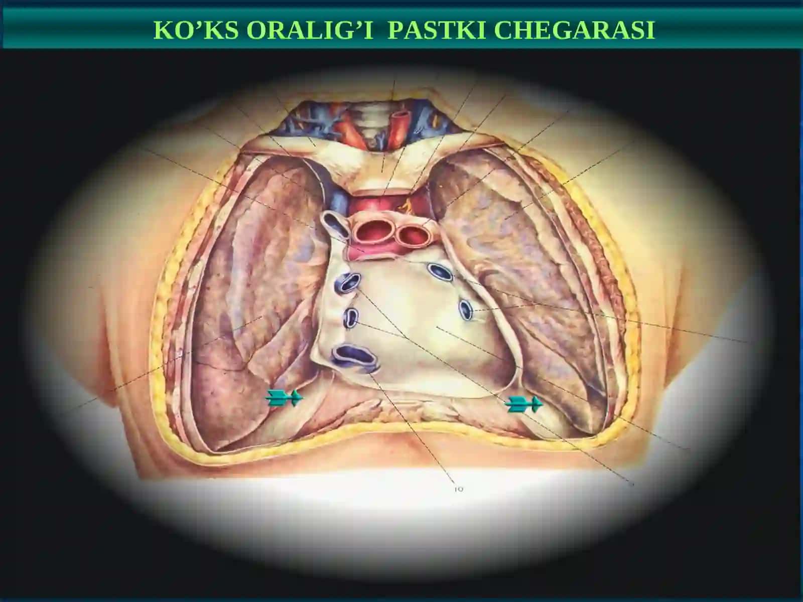 Ko‘ks oralig‘i kasalliklari 4