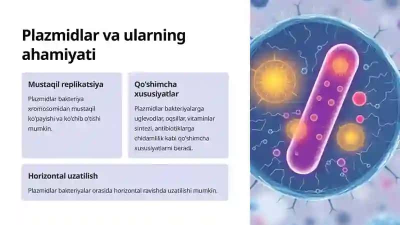 Bakteriya irsiyatining xromosomaga taalluqli bo'lmagan omillari 4