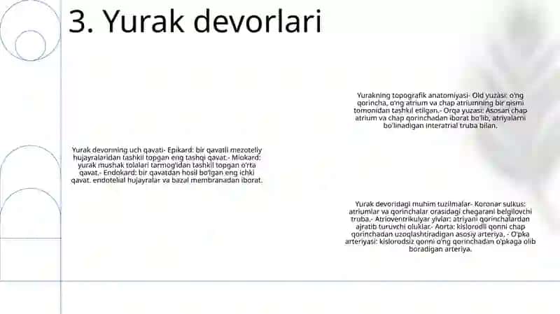 Yurak Va Qon Tomir Sistemalarining Tuzilishi Va Topografiyasi 4