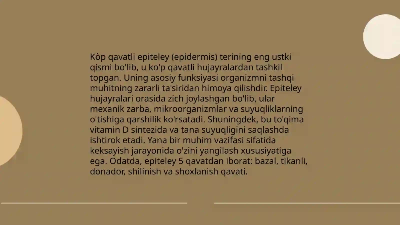 Kòp qavatli epiteley 4