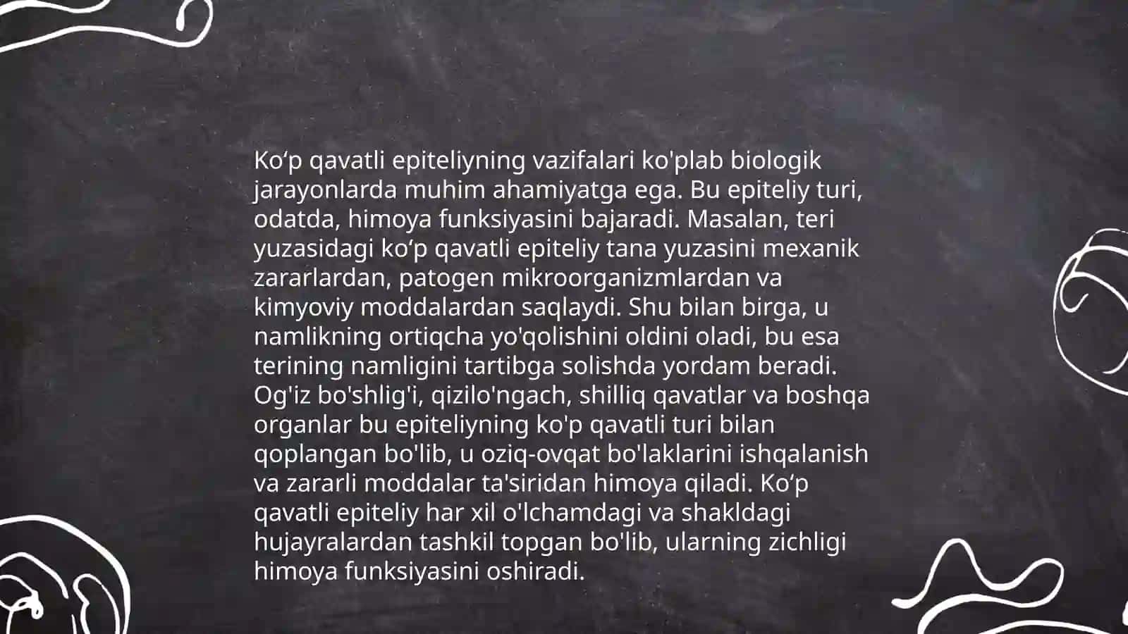 Koʻp qavatli epiteliy 4