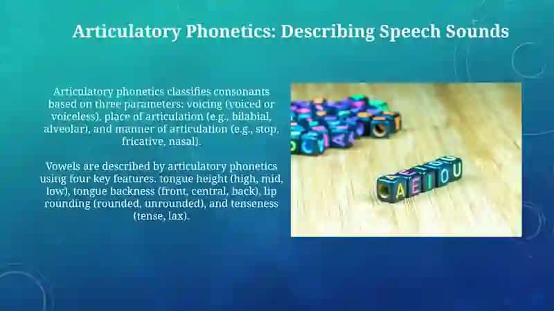 Typology of phonetic and phonological levels of English language 4