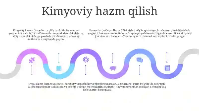 Hayvonlarda Ovqat Hazm Qilish Sistemasi 4