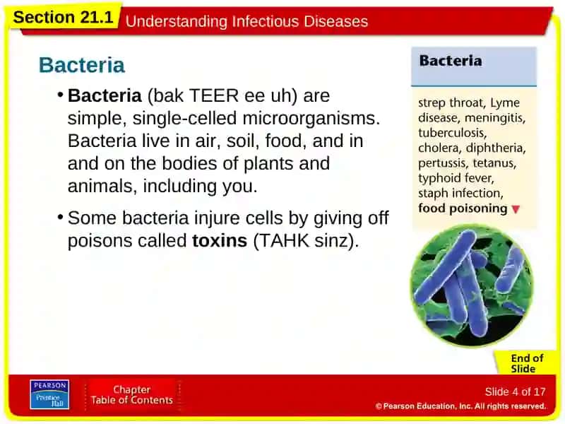 Section 21.1: Understanding Infectious Diseases 4