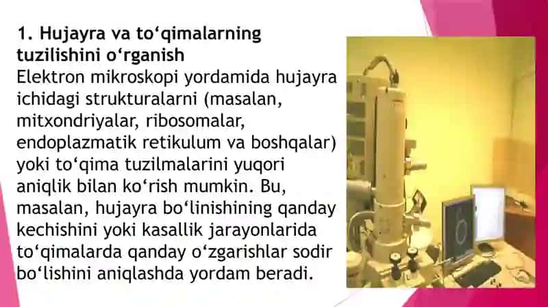 Elektronmikroskopiya Tibbiyotdagi Ahamiyati 4