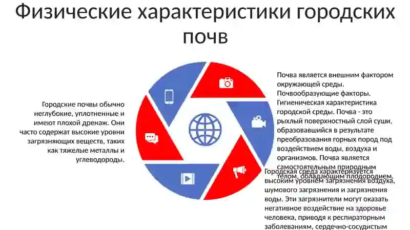 Почва Является Внешним Фактором Окружающей Среды 4