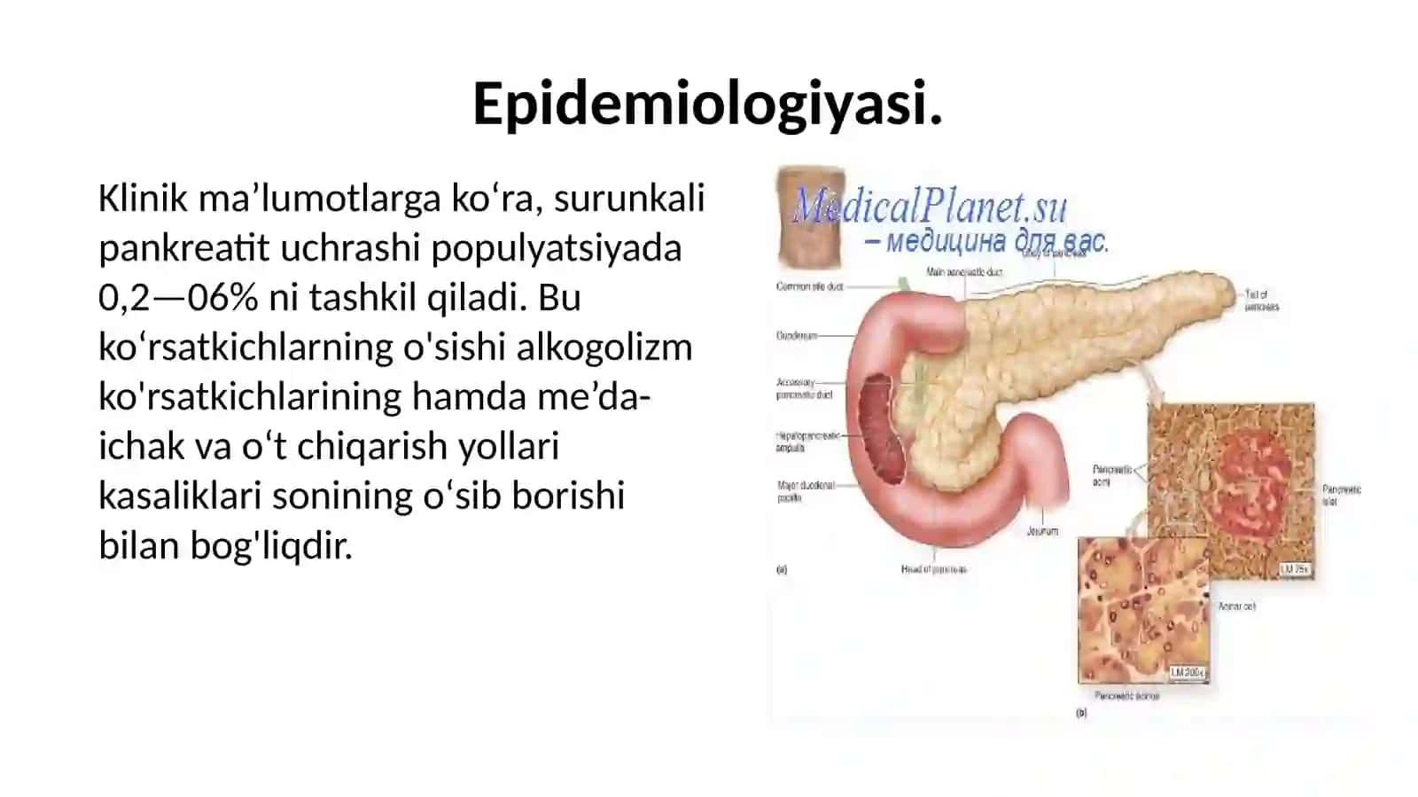 Pankreatit haqida ma’lumot 4