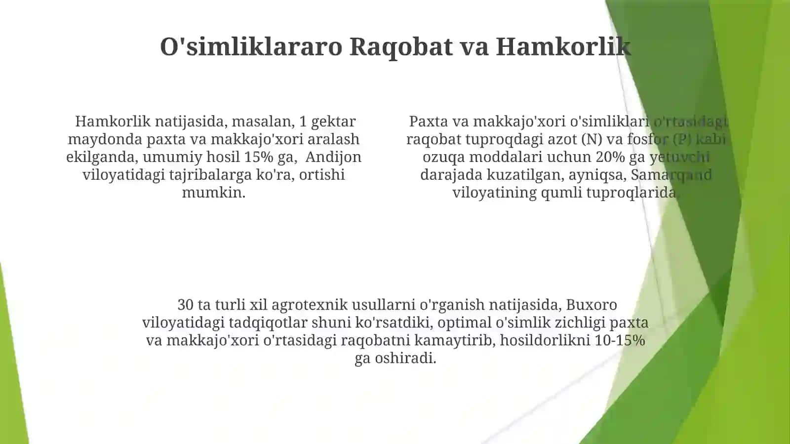 Paxta va Makkajoʻxori Birgalikda Ekishning Iqtisodiy Samaraliligi 4