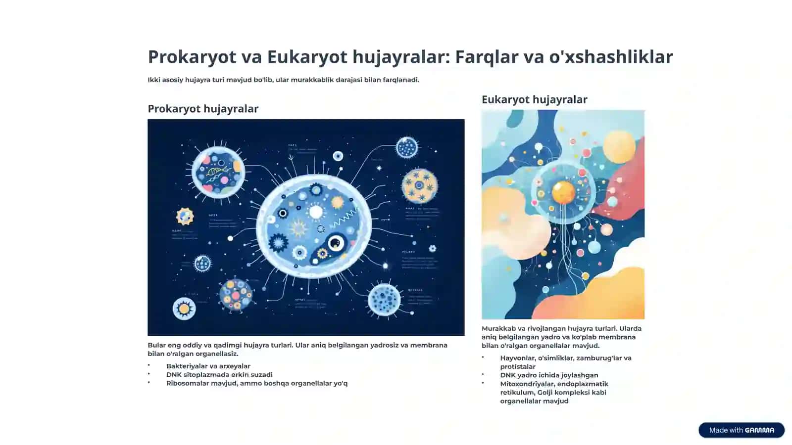 Hujayra tuzilishi: Hayotning asosiy birligi 4