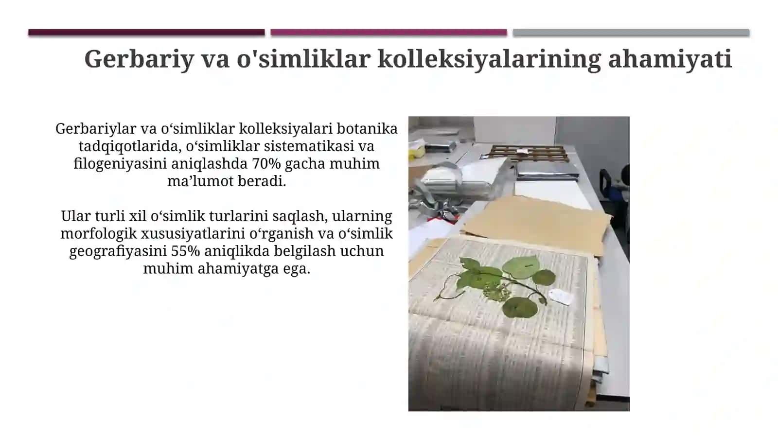 О‘simliklardan gerbariy va kolleksiyalar tayyorlashni o‘rganish metodikasi 4