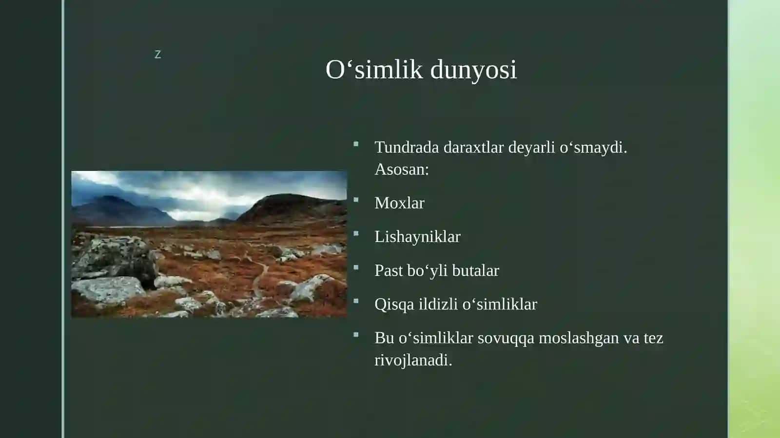 Tundra tabiat zonalari 4