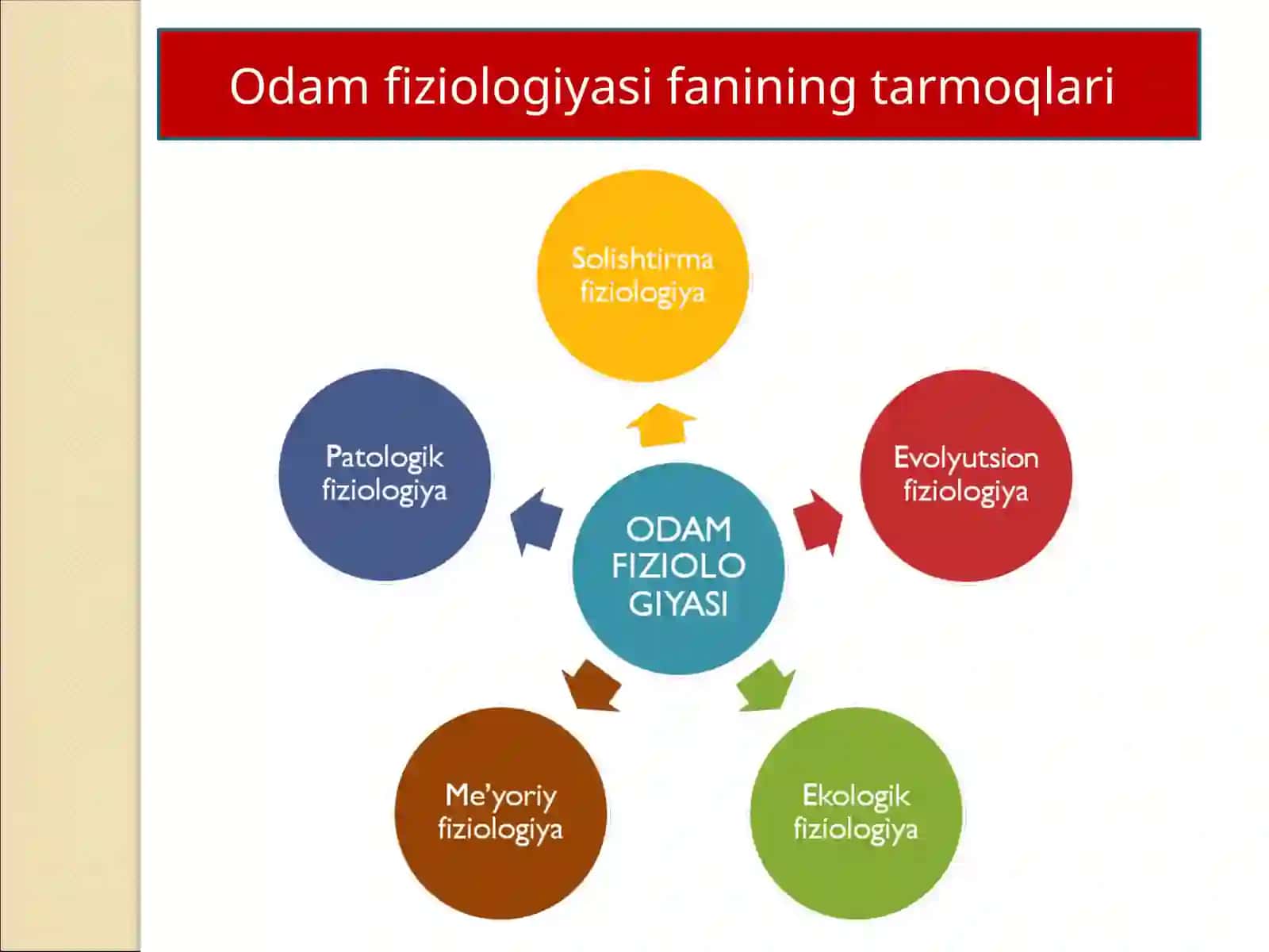 Odam fiziologiyasi fani haqida 4