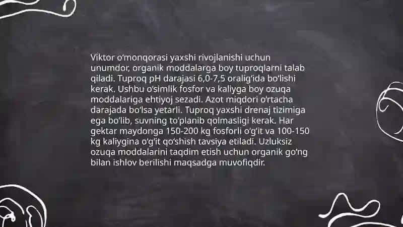 VIKTOR OMONQORASI UNGERNIA-VIKTORIS,BIOEKOLOGIK XUSUSIYATLARI VADORIVORLIK XUSUSIYATLARI 4