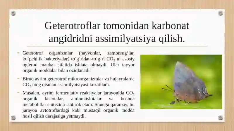 Avtotrof va geterotroflar tomonidan karbonat angidridni assimilyatsiya qilish. 4