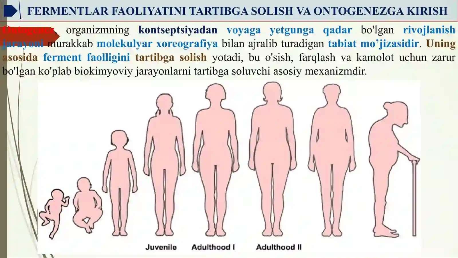 ONTOGENEZDA FERMENTLAR FAOLLIGINI BOSHQARILISHINING AHAMIYATI. NASLIY FERMENTOPATIYALAR 4