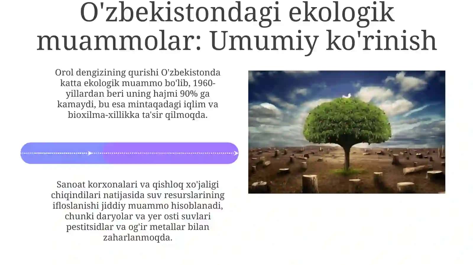 Mamlakatimizdagi ekologik muammolar 4