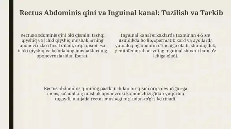 Ko'krak mushaklari, diafragma va qorin mushaklari: Anatomiyasi va fiziologiyasi 4