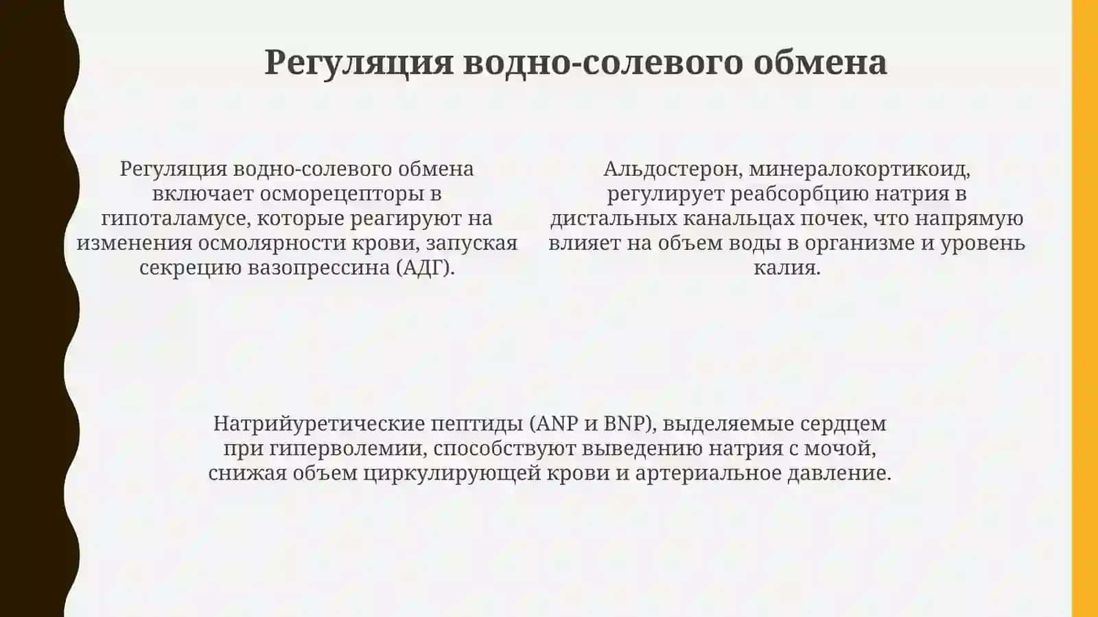 Водно-солевой обмен 4