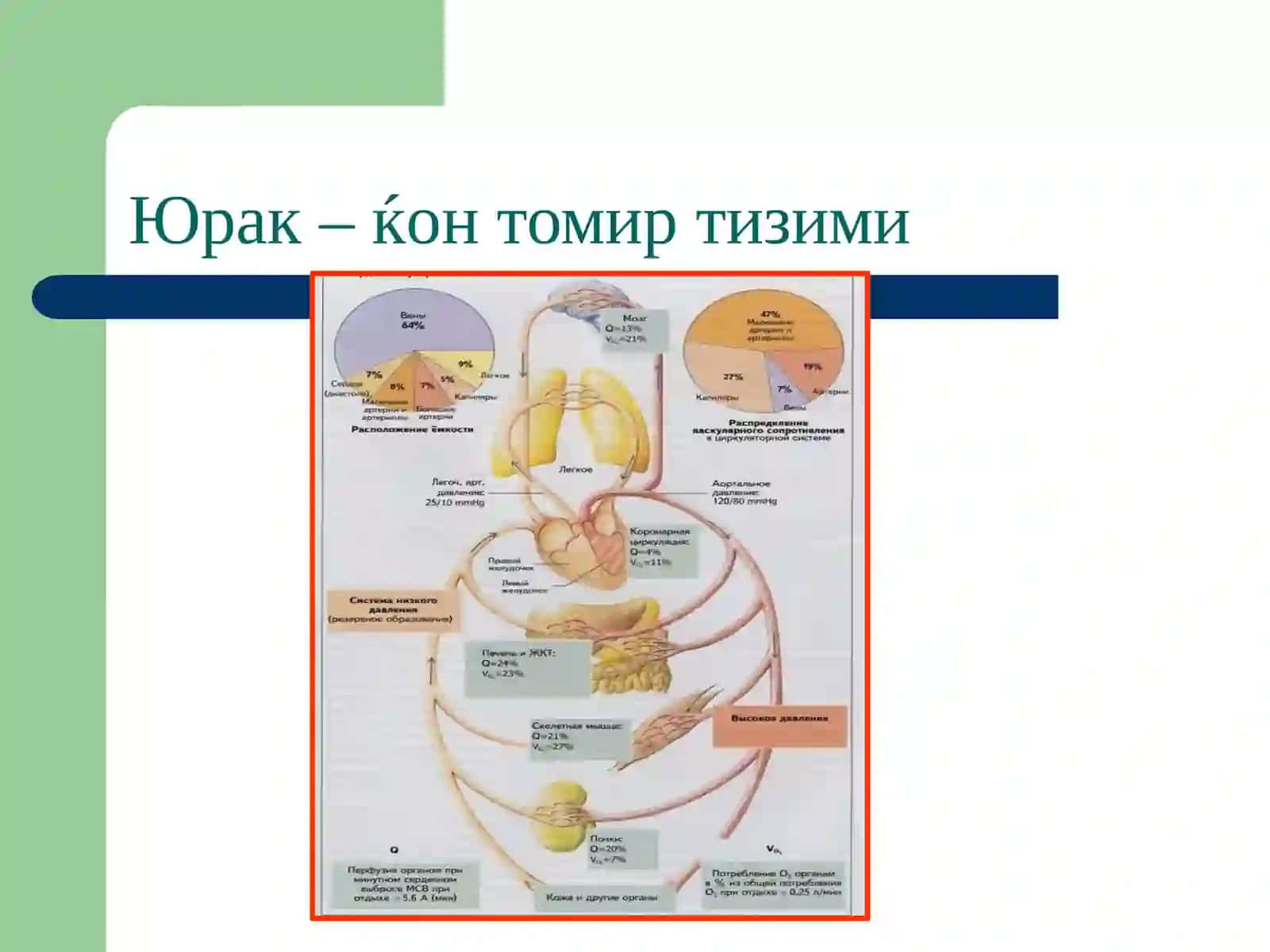 Юракьетишмовчилиги патофизиологияси 4