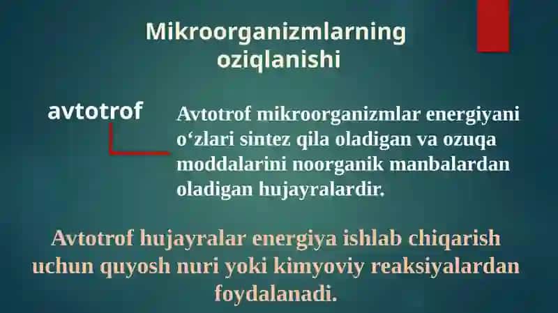 Mikroorganizmlar fiziologiyasi 4