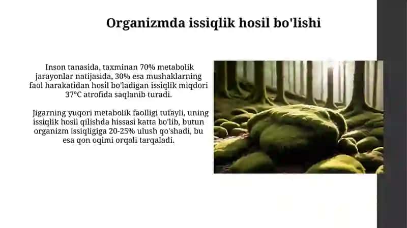 Tirik organizmlarda issiqlik almashinuvining biofizik asoslari 4