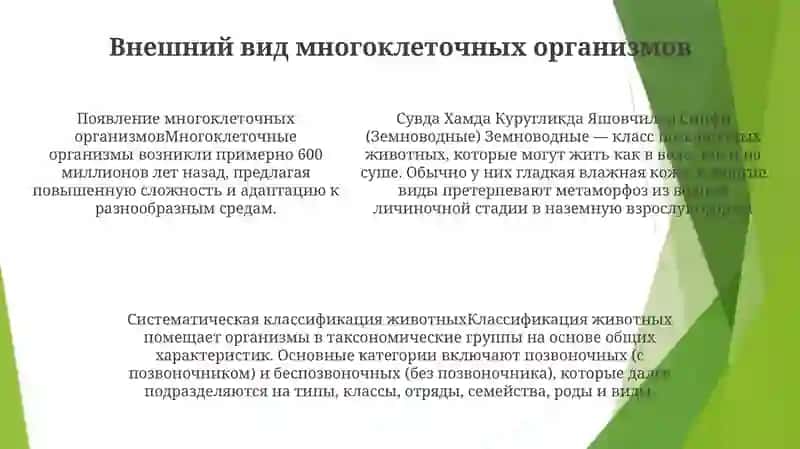 Suvda Hamda Quruqlikda Yashovchilar Sinfi,Sistematikasi Kelib Chiqishi 4