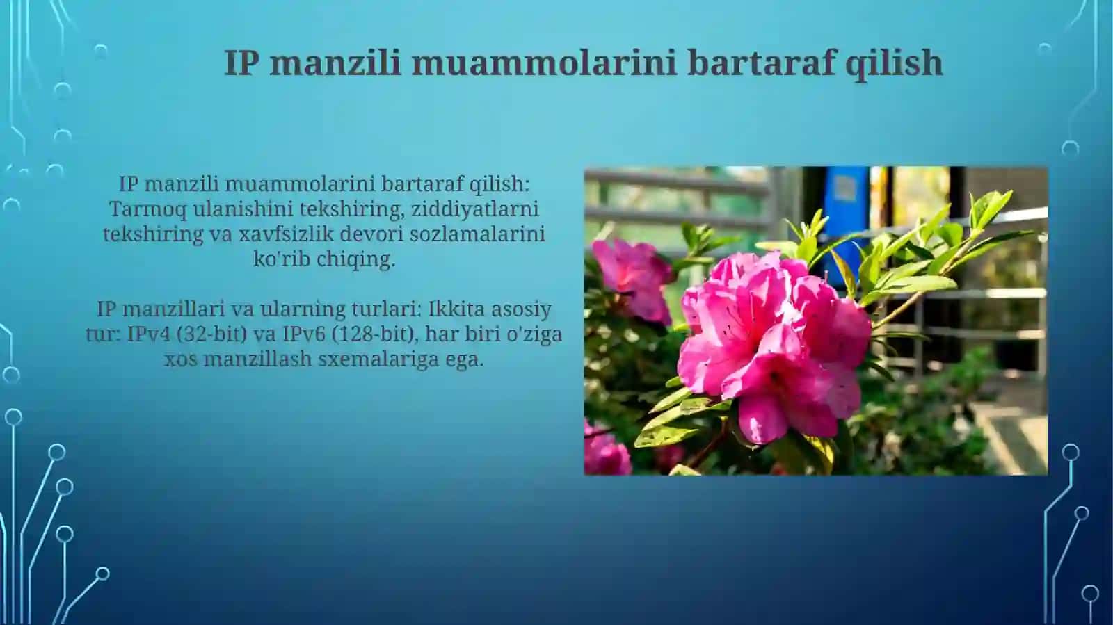IP manzillari va ularning turlari 4