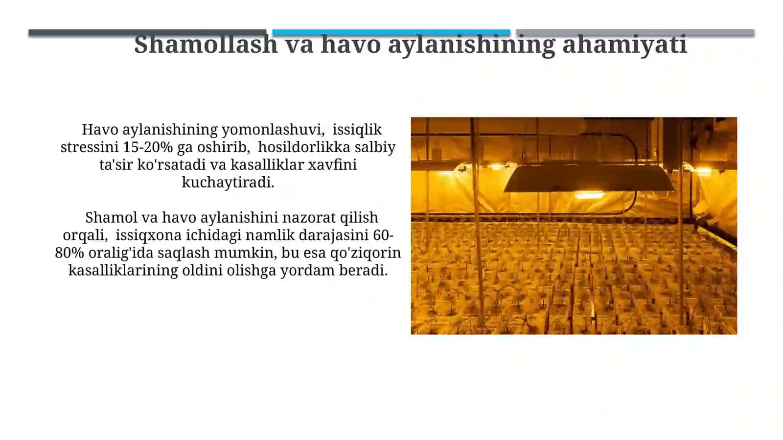 Yorug'lik va uning ta'siri 4