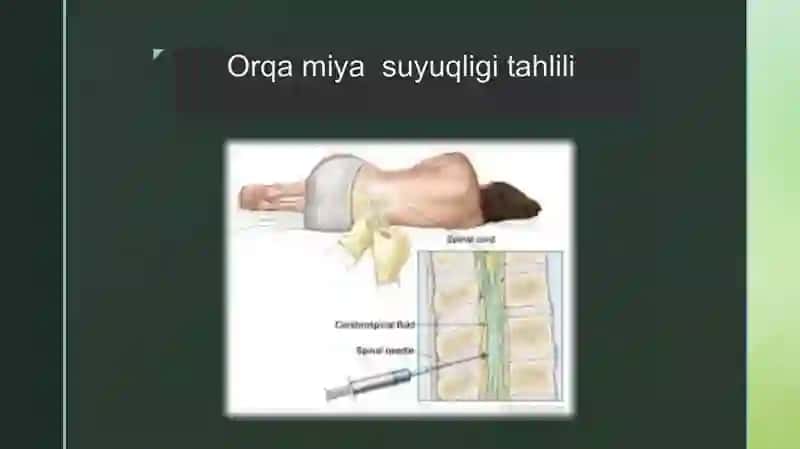 ORQA MIYA SUYUQLIGINING FIZIK VA KIMYOVIY XUSUSIYATLARI MIKROSKOPIYASI 4