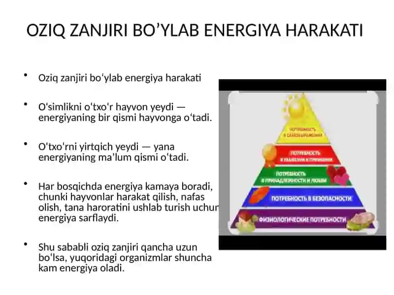 ENERGIYA VA ZAHARLI MODDALAR OQIMI 4